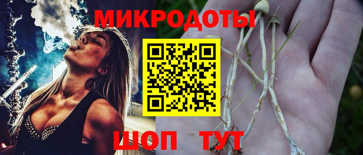 Зерноград  Галлюциногенные грибы Psilocybe  Вход с VPN 